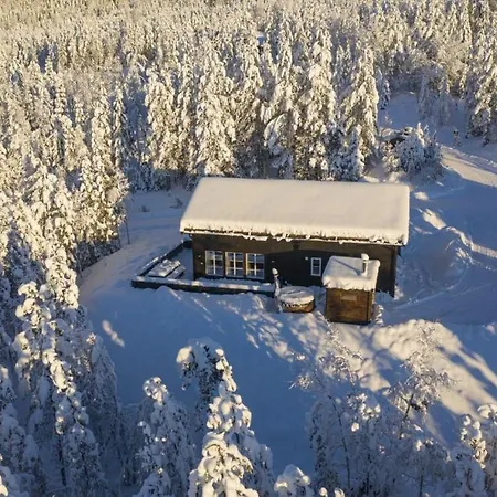 Cabin With Sauna In Трисиль Экстерьер фото
